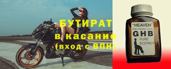 индика Алзамай