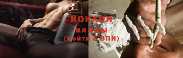 индика Алзамай