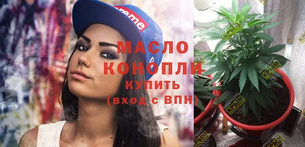 СК Алексин