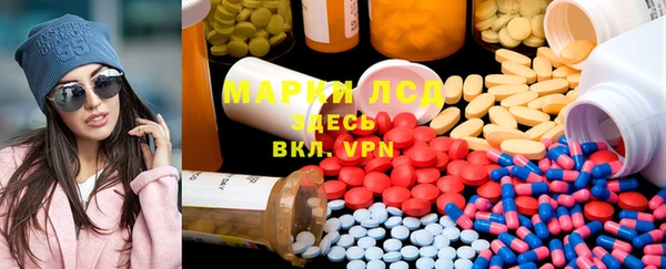 индика Алзамай