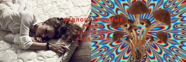 прущая мука Аркадак