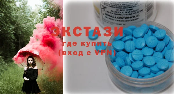 СК Алексин