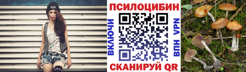 наркота  Новодвинск  Галлюциногенные грибы ЛСД 